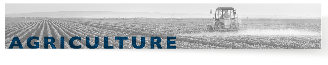 AGRICULTURE-01